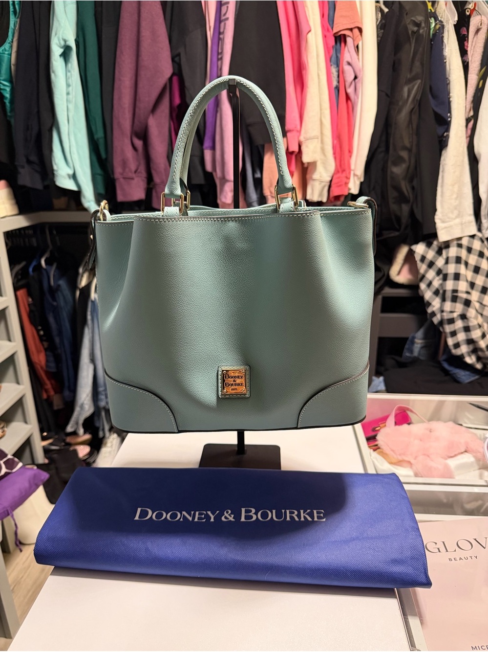 Dooney & Bourke Mint Green Leather Satchel with Gold Logo Plate